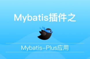 mybatisplus 插件.jpg